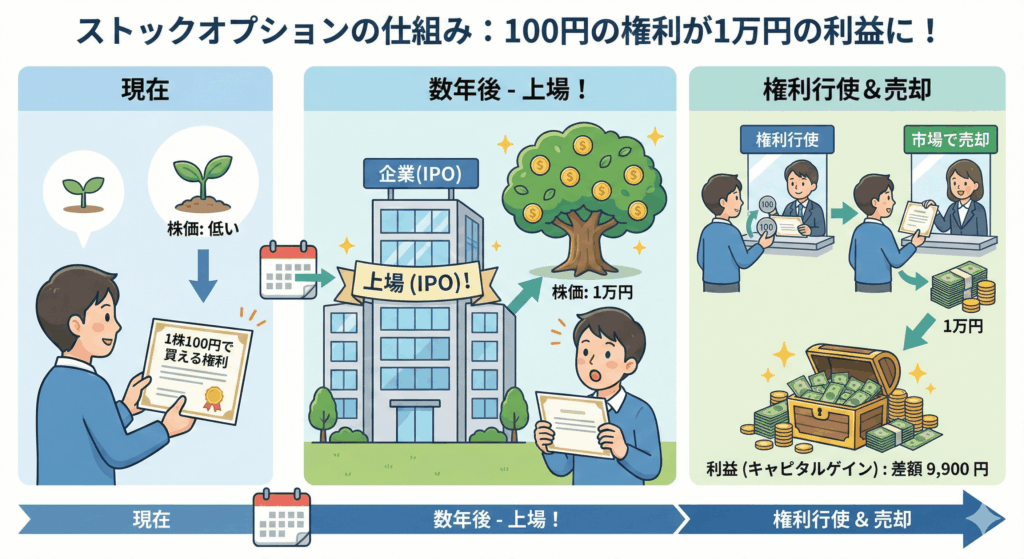 ストックオプションの仕組みを3段階の時系列で解説する図解イラスト。
タイトルは「ストックオプションの仕組み：100円の権利が1万円の利益に！」。
左側のパネル「現在」では、男性が「1株100円で買える権利」の証書を受け取っており、株価がまだ低いことを示す小さな芽のイラストがある。
中央のパネル「数年後 - 上場！」では、企業が上場（IPO）し、株価が「1万円」に上昇したことを示すお金が実った大きな木が描かれている。男性は証書を見て喜んでいる。
右側のパネル「権利行使＆売却」では、男性が100円で権利を行使して株を取得し、その後すぐに市場で1万円で売却する様子が描かれている。最後に、大金が入った宝箱とともに「利益（キャピタルゲイン）：差額 9,900円」というテキストで、大きな利益が得られたことが示されている。